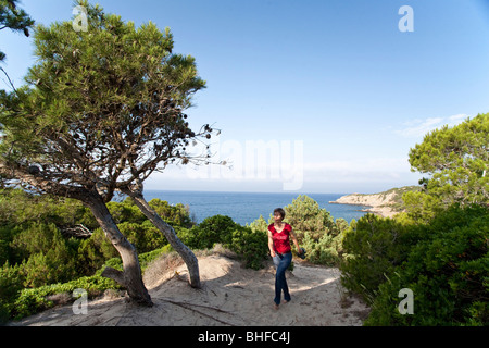 Vista sul mare, donna nell'ombra di alberi di pino, Porto Pino, Sardegna, Italia, Europa Foto Stock