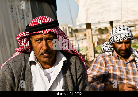 I beduini locali nei dintorni di Gerusalemme. Foto Stock