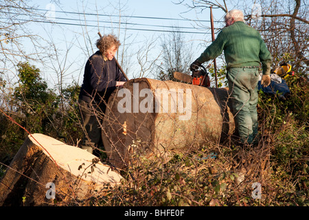 Il taglio di un grande albero moncone, Irlanda Foto Stock