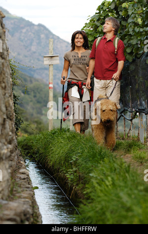 Un giovane con cane escursioni lungo un ruscello, Val Venosta, Alto Adige, Italia, Europa Foto Stock