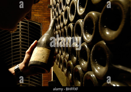 Un uomo con una bottiglia di vino vecchio in una cantina di Terlano, Alto Adige, Italia, Europa Foto Stock