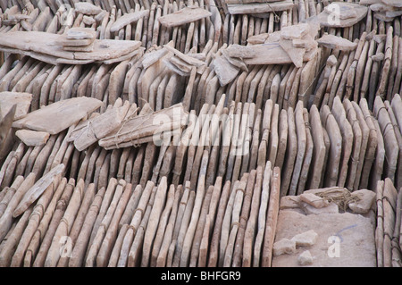 Sale bramme provenienti da Timbuctu a bordo di una barca di aspettare di essere venduto nel porto di Mopti, Mali, Africa occidentale Foto Stock