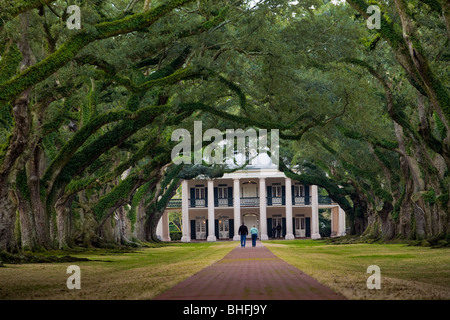 Oak Alley Plantation, iconico sud della scena gotica, sul fiume strada a nord di New Orleans in Louisiana Foto Stock