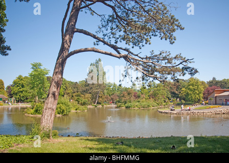 I popoli Park, Grimsby, North East Lincolnshire, Inghilterra Foto Stock