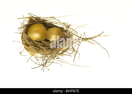 Vuoto oro rotto gusci delle uova nel nido e studio shot Foto Stock