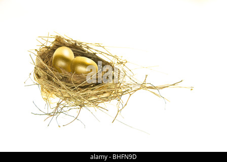 Pensione "nido" le uova nel nido e studio shot Foto Stock