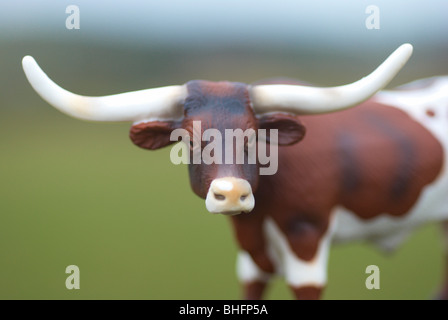 Texas longhorn modello in plastica mucca fotografata al di fuori di un campo. Foto Stock