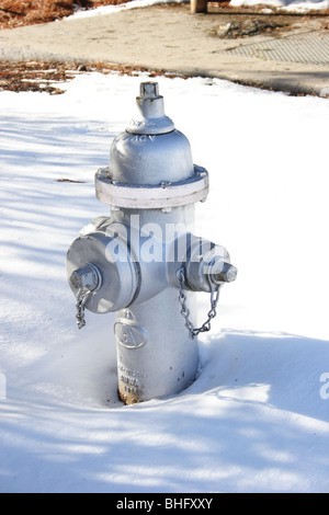 Idrante di fuoco nella neve Foto Stock