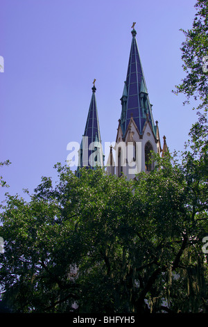 Cattedrale di San Giovanni Battista, Lafayette Square, Savannah in Georgia negli Stati Uniti Foto Stock