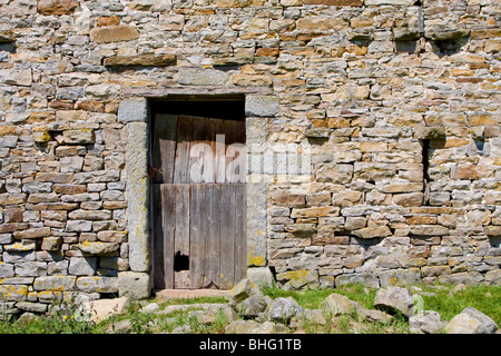 Porta di legno sul fienile in pietra a Gunnerside, Yorkshire Dales, REGNO UNITO Foto Stock