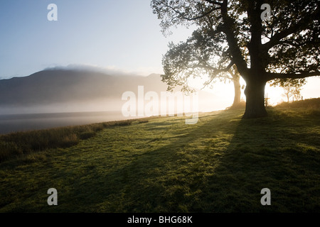 Bassenthwaite Lake, Lake District, Cumbria, Inghilterra Foto Stock