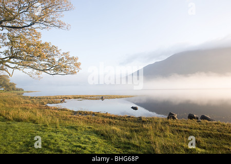 Bassenthwaite Lake, Lake District, Cumbria, Inghilterra Foto Stock