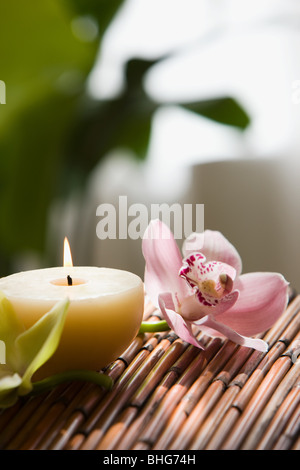 Fiori di orchidea e candela Foto Stock