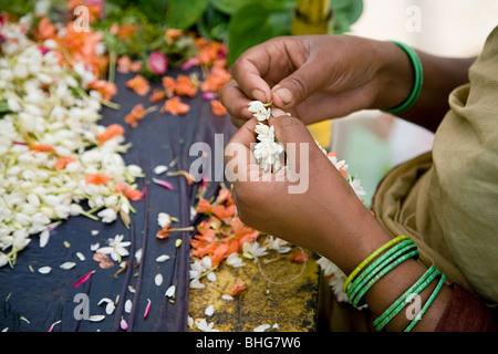 Donna fare ghirlande di fiori di gelsomino Foto Stock