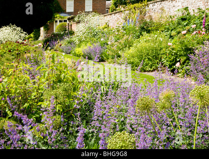 Vista di piante erbacee perenni aiuole in estate in un paese di lingua inglese giardino Foto Stock