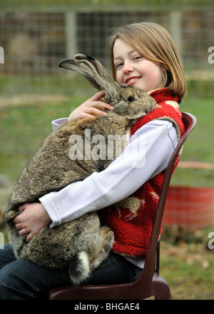 Ragazza giovane ella McDonnell holding Ralph Britains più grande coniglio a Sussex cavallo Centro di salvataggio Foto Stock