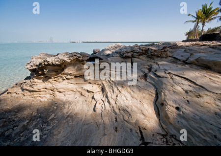 Isola Futaisi, Abu Dhabi, Emirati arabi uniti Foto Stock