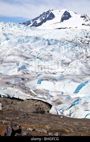 Mendenhall Glacier al di fuori di Juneau in Alaska Foto Stock