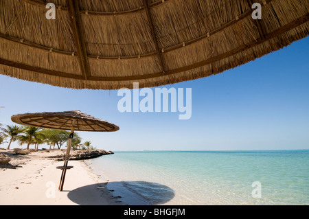 Isola Futaisi, Abu Dhabi, Emirati arabi uniti Foto Stock