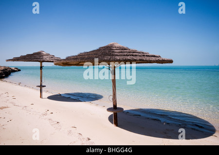 Isola Futaisi, Abu Dhabi, Emirati arabi uniti Foto Stock