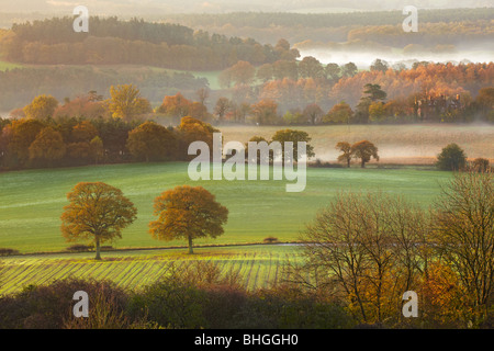 La mattina presto viste attraverso la collina da Newlands Corner guardando verso Albury Surrey Foto Stock