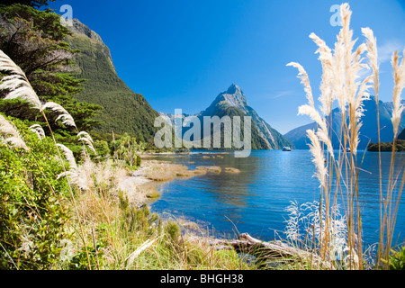La gamma della montagna con il lago e piante, Mitre Peak, Milford Sound, Isola del Sud, Nuova Zelanda Foto Stock