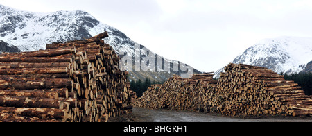 Registrazione in Glen Clova, Angus, Scotland, Regno Unito. Foto Stock