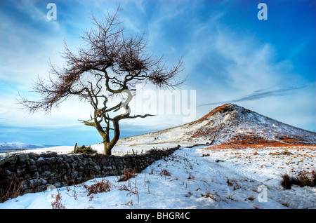 Inverno a Roseberry Topping, North Yorkshire Foto Stock