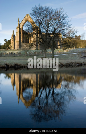 Le rovine di Bolton Abbey (Bolton Priory) in Wharfedale nel Yorkshire Dales National Park, England, Regno Unito Foto Stock