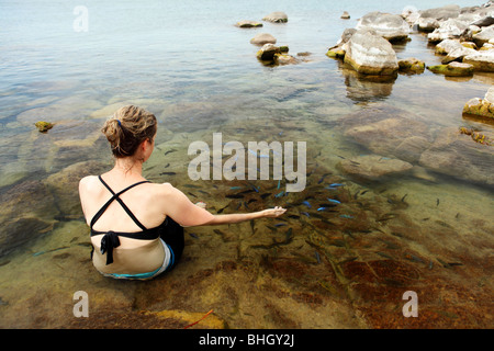 Una donna si siede con pesci tropicali nell'acqua fresca lago di Lago Malawi vicino a Cape Maclear, Africa Foto Stock