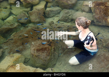 Una donna si siede con pesci tropicali nell'acqua fresca lago di Lago Malawi vicino a Cape Maclear, Africa Foto Stock