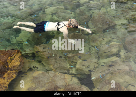 Una donna snorkles con pesci tropicali nell'acqua fresca lago di Lago Malawi vicino a Cape Maclear, Africa Foto Stock