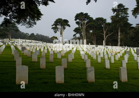 Il San Francisco Cimitero Nazionale nel Presidio. Foto Stock