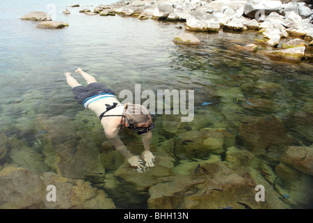 Una donna snorkles con pesci tropicali nell'acqua fresca lago di Lago Malawi vicino a Cape Maclear, Africa Foto Stock