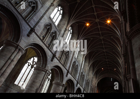 Il soffitto a volta sopra la navata della Cattedrale di Hereford e robuste colonne della navata nord corsia. Foto Stock