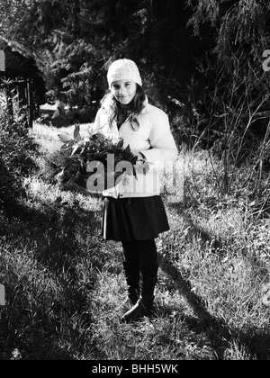 Una ragazza raccolta di erbe in un cestello, Italia. Foto Stock