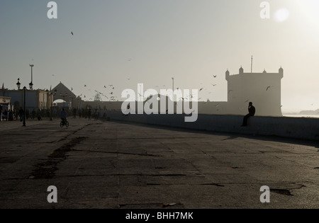 I Bastioni a Essaouira, Marocco. Foto Stock