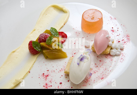 Rabarbaro Jelly, caviale di noce di cocco, rabarbaro e sorbetto al cocco al Felin Fach Griffin ristorante, vicino a Brecon, Powys, Wales, Regno Unito Foto Stock