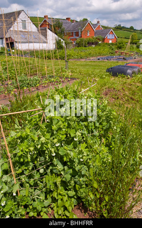 Il certificato biologico orto al Felin Fach Griffin ristorante, vicino a Brecon, Powys, Wales, Regno Unito Foto Stock