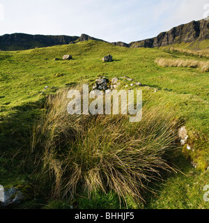 Ricoperta di pareti di pietra della vecchia casa croft, Trotternish, Isola di Skye in Scozia Foto Stock