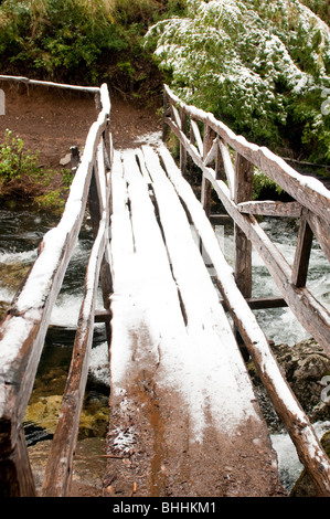 Cile Huerquehue Parco Nazionale vicino a Pucon Foto Stock