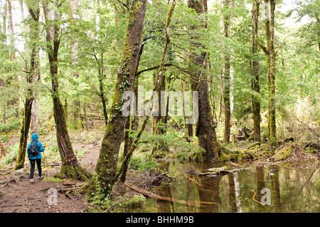 Cile Huerquehue Parco Nazionale vicino a Pucon Foto Stock