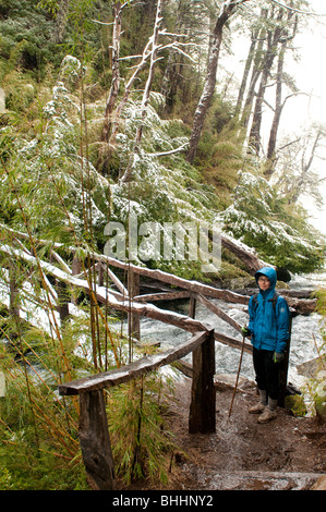 Cile Huerquehue Parco Nazionale vicino a Pucon Foto Stock