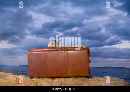 Matura sul lettino guardano al mare Foto Stock