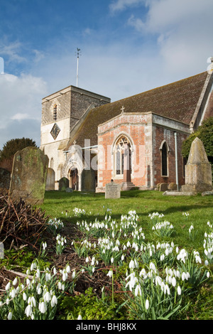 Chiesa di Santa Maria e snowdrops Kintbury, Berkshire, Regno Unito Foto Stock