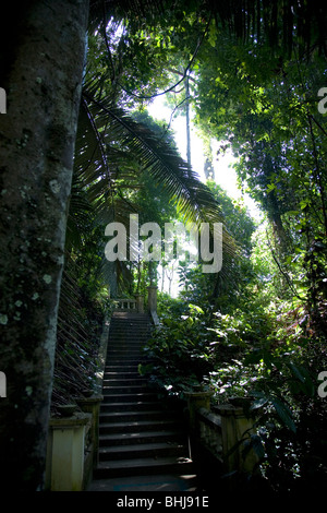 Passi alla cascata di Kathu , Phuket - Tailandia Foto Stock