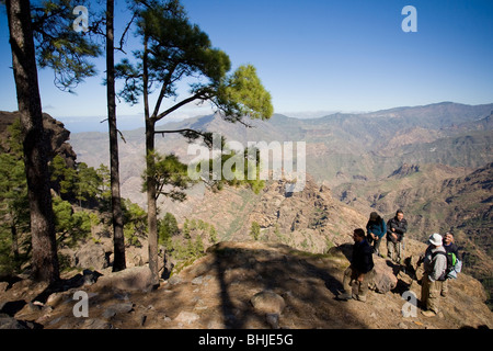 Il Inagua riserva forestale in Cumbres o altipiani di Gran Canaria. Un telecomando e area isolata che è altamente inaccessibile. Foto Stock