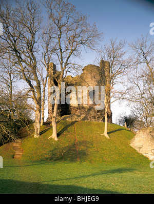 Il mantenere con alberi, Castello di Longtown, Herefordshire, 1992. Artista: sconosciuto Foto Stock