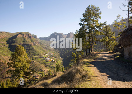 Il Inagua riserva forestale in Cumbres o altipiani di Gran Canaria. Un telecomando e area isolata che è altamente inaccessibile. Foto Stock