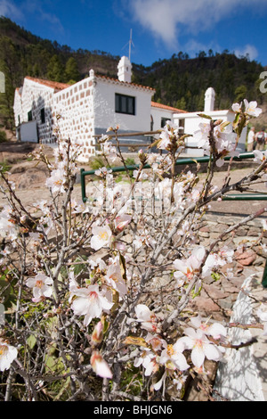 L'aula de Inagua, un luogo educativo nel Inagua riserva forestale di Gran Canaria. Foto Stock